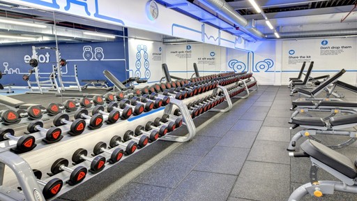 Free Weights Area