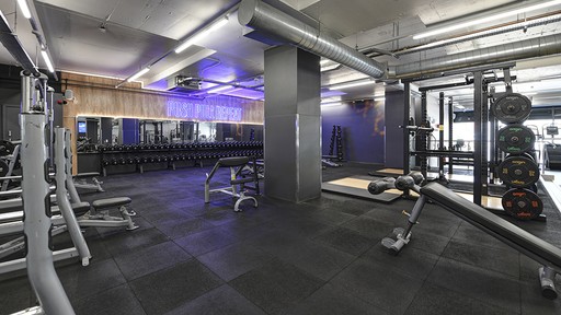 Free Weights Area