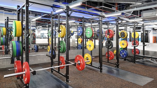 Free Weight Area
