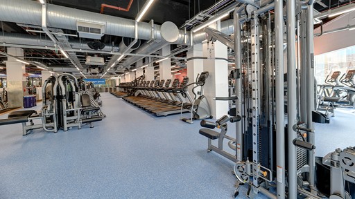 View Of Gym