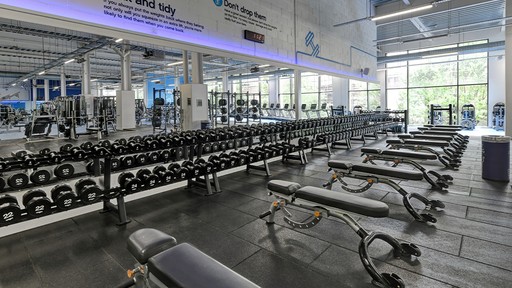 Free Weight Area
