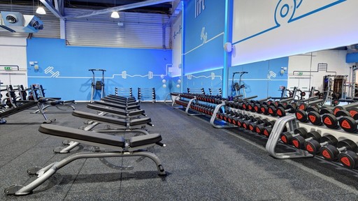 FRee Weights Area