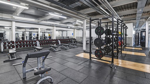 Free Weights Area