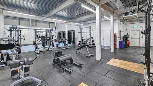 Free Weights Area