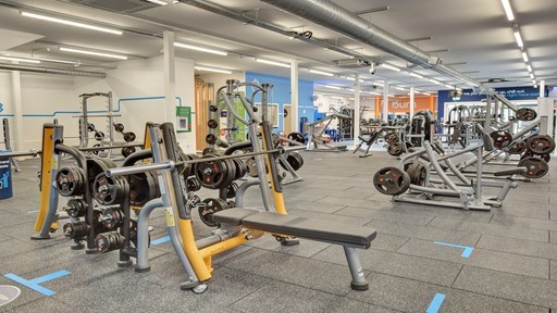 Free Weights Area