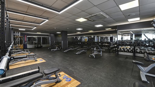 Free Weights Area