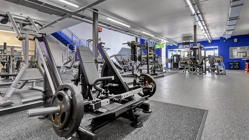 Free Weights Area