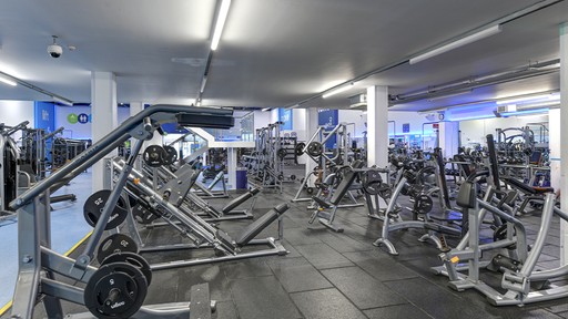 Free Weight Area