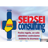 Sei2sei Consulting Logo