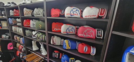 boxing gloves at fight co 