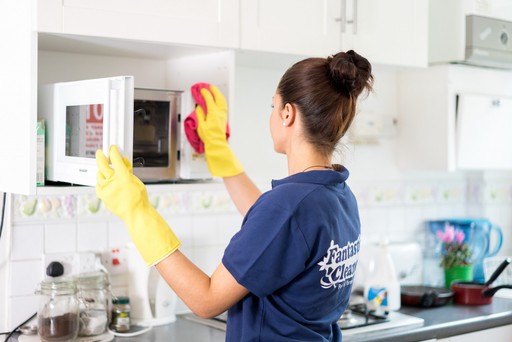 Domestic cleaning 
