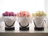 Bucket Full of Roses