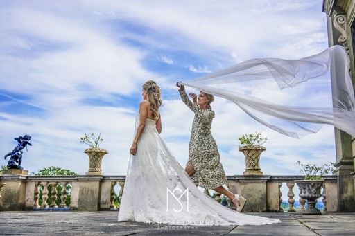 Bride with veil