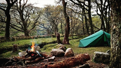 Adventure Clinic - Bushcraft and Wild Camping Skil