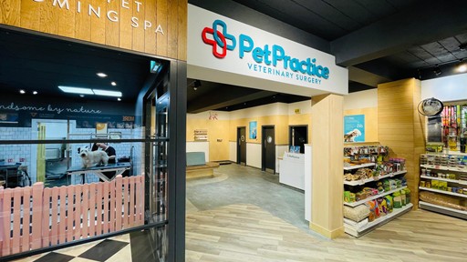 Pet Practice Rustington Interior