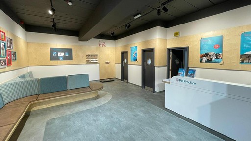 Pet Practice Rustington Interior