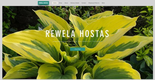 website