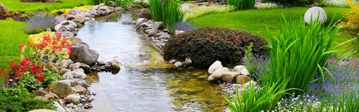 Pond Man Ltd.