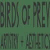 Birds of prey artistry