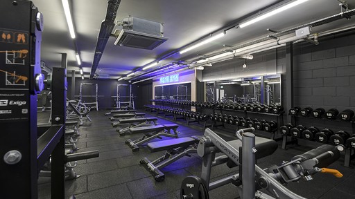 Free Weights Area