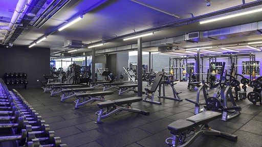 Free Weights Area