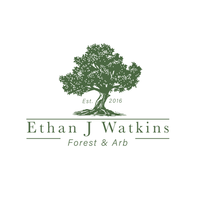Ethan J Watkins Forest & Arb
