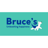 Bruce's Doggy Day Care