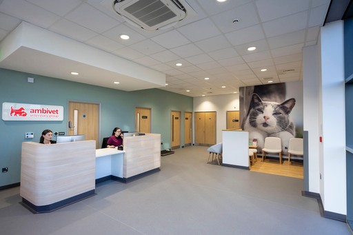 Ambivet derby reception and waiting area