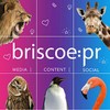 Briscoe PR