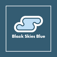 Black Skies Blue Ltd logo