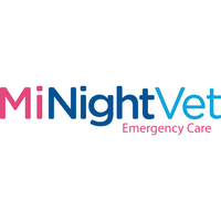 MiNightVet Plymouth