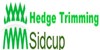 Hedge Trimming Sidcup