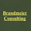 Brandmeier Consulting Logo
