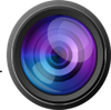 Platinum Asset Protection  Logo 