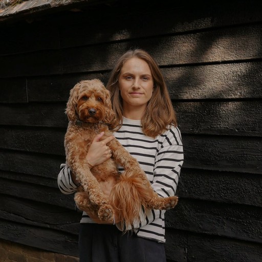 Rowan from Bridget's Dog Grooming