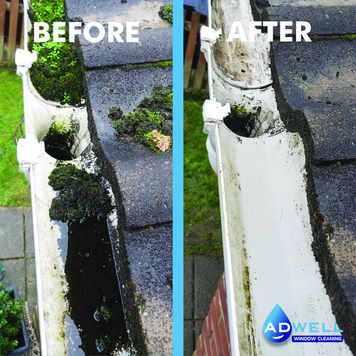 Gutter cleaning - Wellingborough