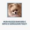 Miura Logo