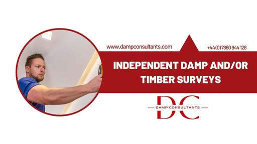 Damp Consultant