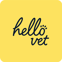 Hello Vet Stanmore