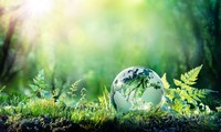 Carbon Neutral Business Consultant | TCFD | Carbon