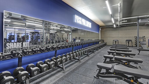 Free Weights Area