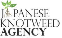 Japanese Knotweed Agency