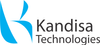  Kandisa Technologies Private Limited Salesforce consulting partners 