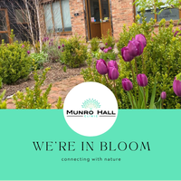 Munro Hall Clinic