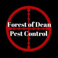 Forest Of Dean Pest Control