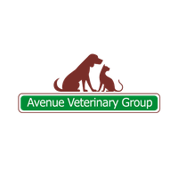 Avenue Veterinary Group - Bingley
