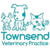 Townsend Veterinary Centre - Bromsgrove