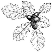 Acorn Veterinary Centre