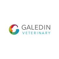 Galedin Vets, Galashiels