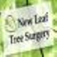 New Leaf Tree Surgery Ltd